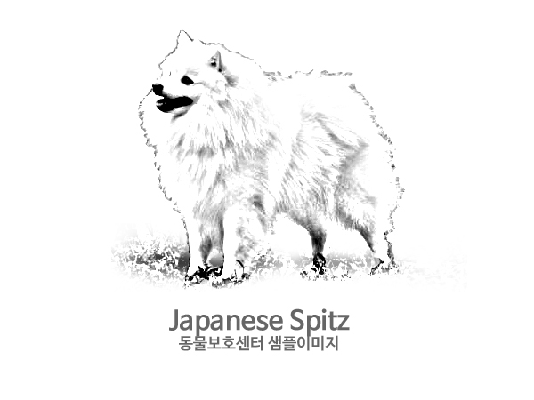 강아지를 찾습니다 강아지 전단지