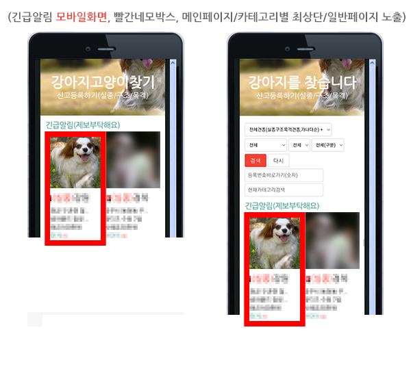 긴급알림 개냥이닷컴(강아지고양이찾기)