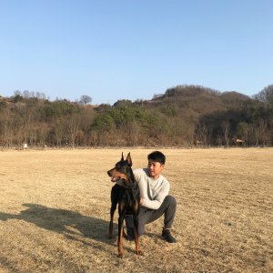 강아지분실실종 경상남도 창원시 마산합포구