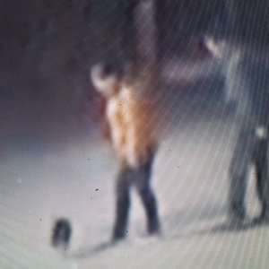 강아지분실실종 충청남도 서천군