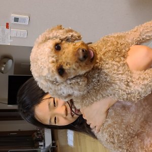 강아지분실실종 인천광역시 중구