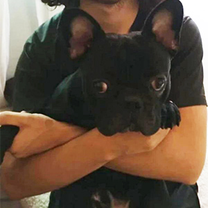 강아지분실실종 서울특별시 노원구