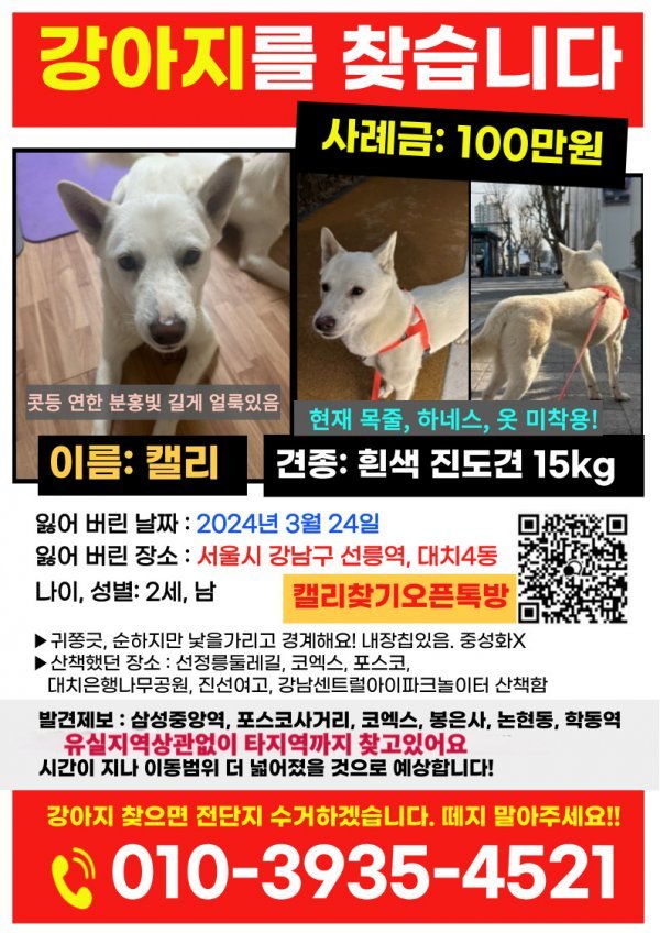강아지를 찾습니다