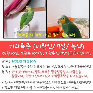 잃어버린 동물을 찾습니다 앵무새 서울특별시 용산구