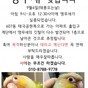 실종동물 조류 대구광역시 달서구