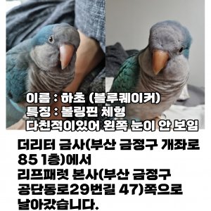 동물 주인을 찾습니다 조류 부산광역시 금정구