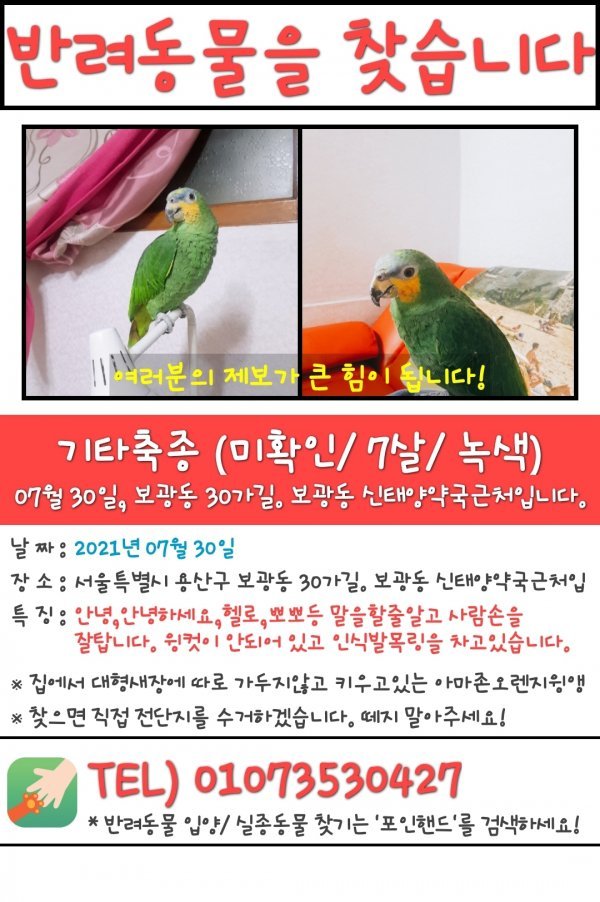 잃어버린 동물을 찾습니다