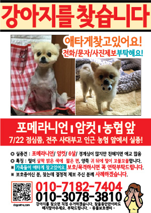 강아지를 찾습니다 전단지