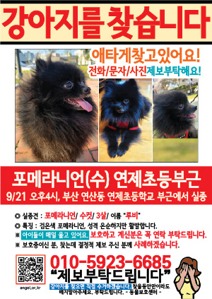 강아지를 찾습니다 전단지