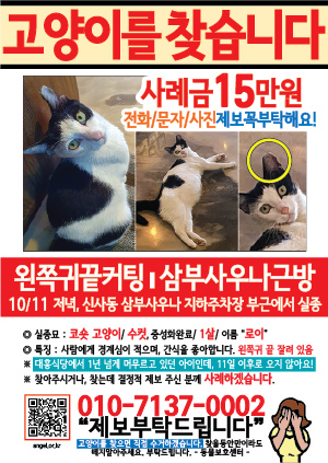 고양이를 찾습니다 전단지