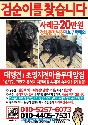 강아지를 찾습니다 전단지