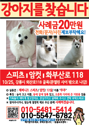 강아지를 찾습니다 전단지