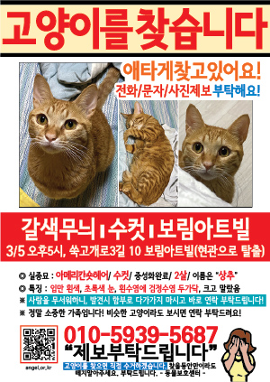 고양이를 찾습니다 전단지