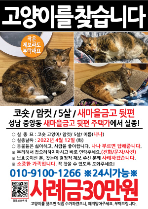 고양이를 찾습니다 전단지