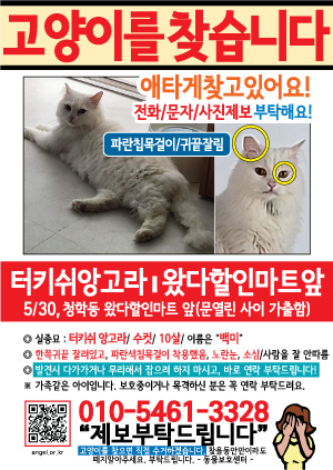 고양이를 찾습니다 전단지