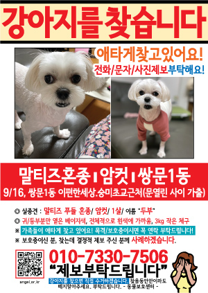 강아지를 찾습니다 전단지