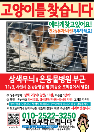 고양이를 찾습니다 전단지