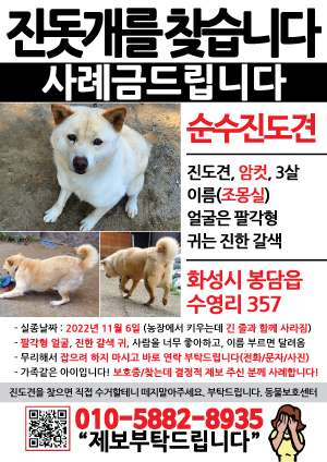 강아지를 찾습니다 전단지