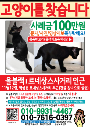 고양이를 찾습니다 전단지