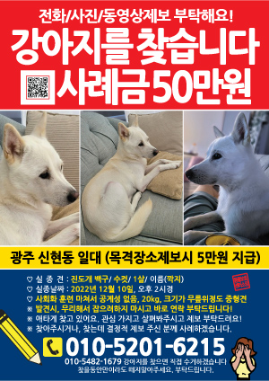 강아지를 찾습니다 전단지