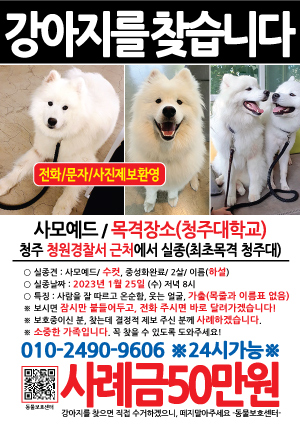 강아지를 찾습니다 전단지