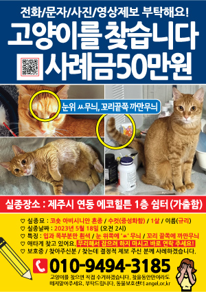 강아지를 찾습니다 전단지