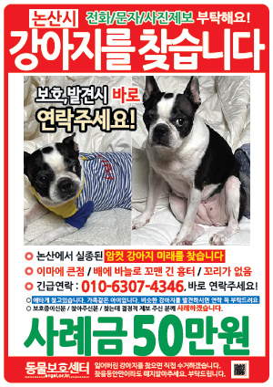 강아지를 찾습니다 전단지
