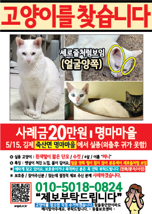 고양이를 찾습니다 전단지