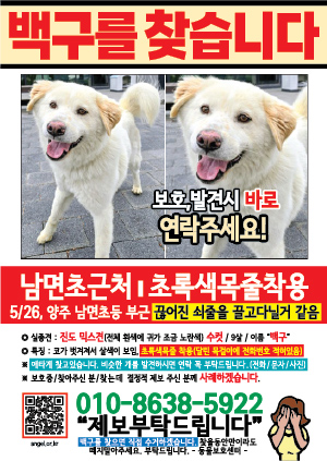 강아지를 찾습니다 전단지