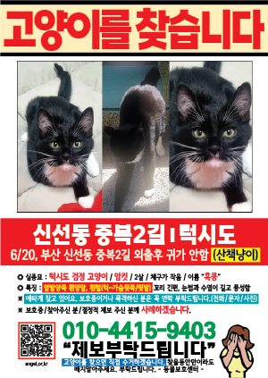고양이를 찾습니다 전단지