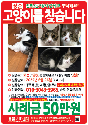 고양이를 찾습니다 전단지
