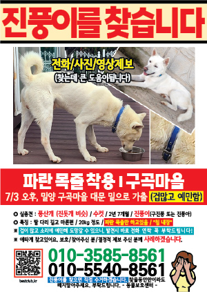 강아지를 찾습니다 전단지