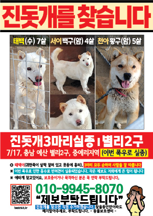 강아지를 찾습니다 전단지