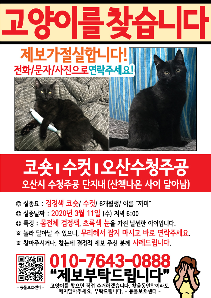 강아지 고양이 전단지