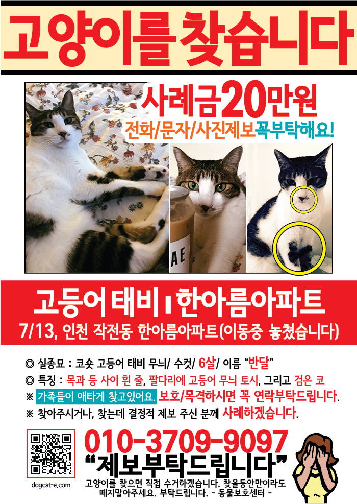 강아지 고양이 전단지