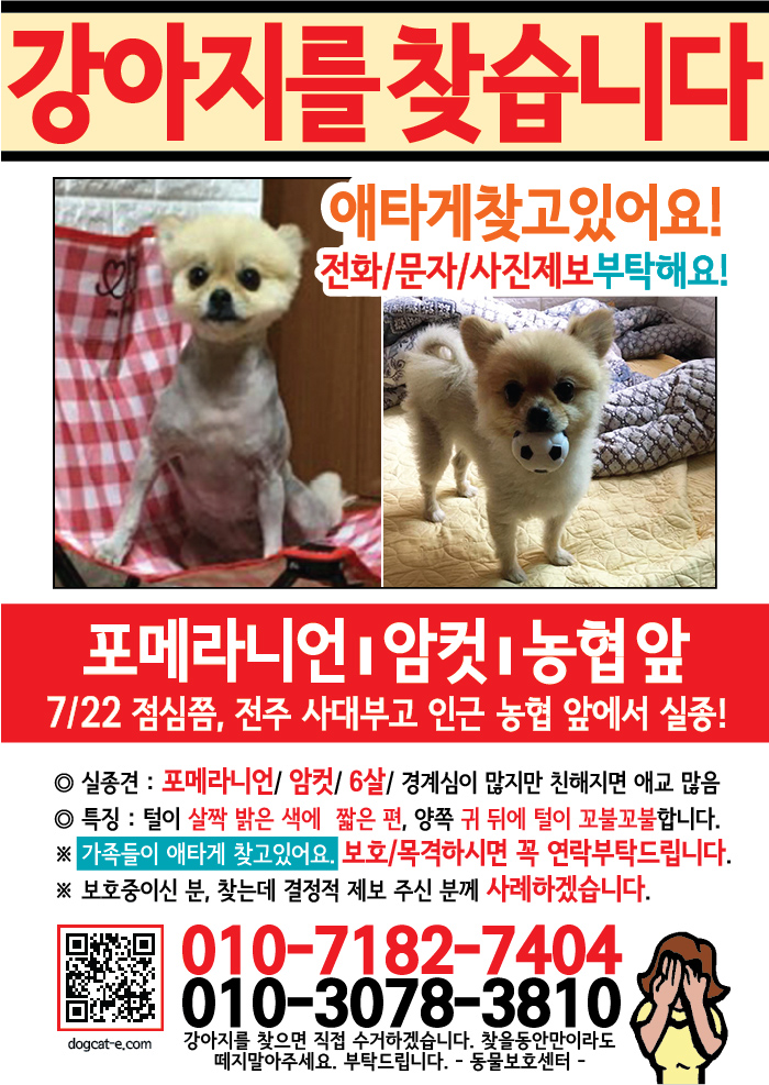 강아지 고양이 전단지