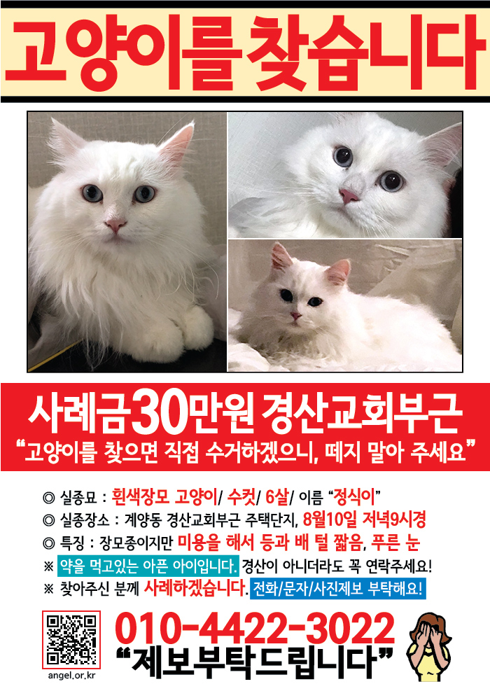 강아지 고양이 전단지