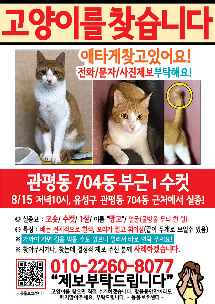 강아지 고양이 전단지