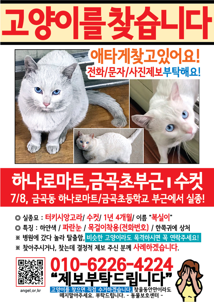 강아지 고양이 전단지