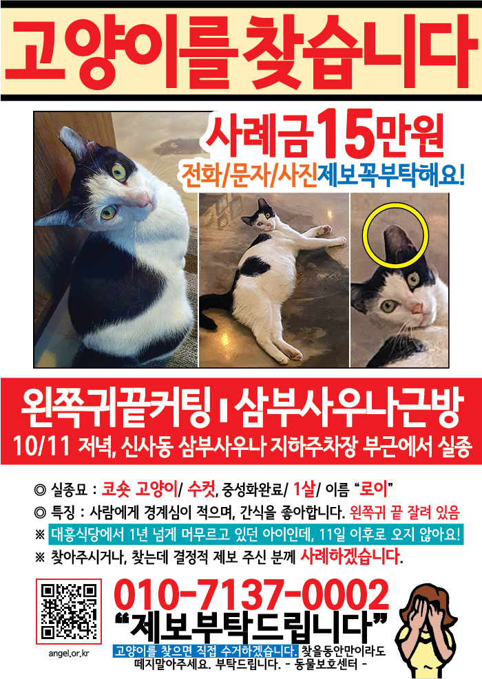 강아지 고양이 전단지