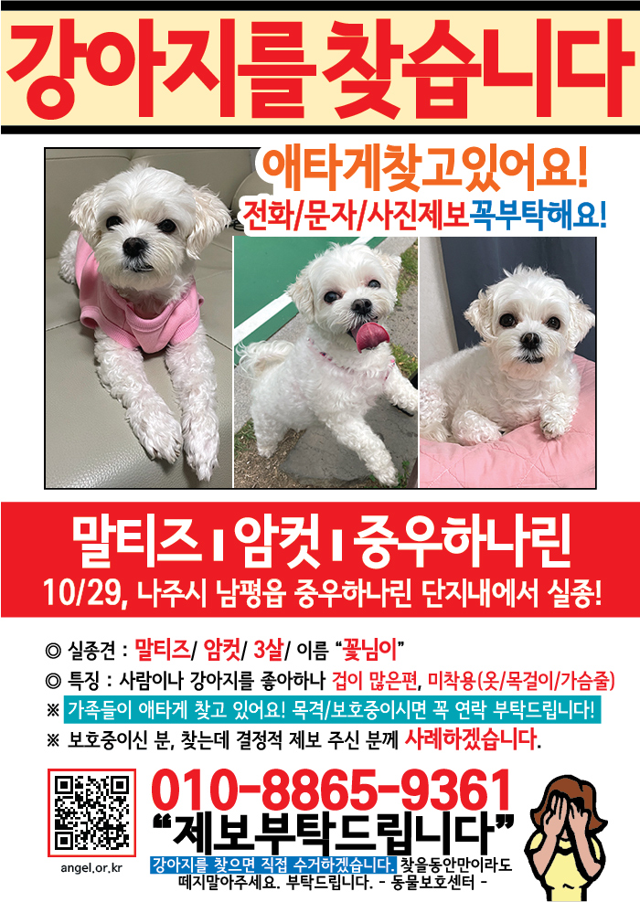 강아지 고양이 전단지