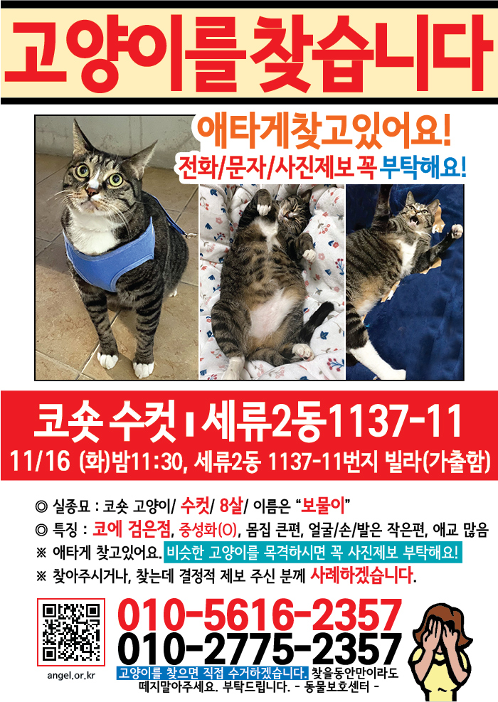 강아지 고양이 전단지