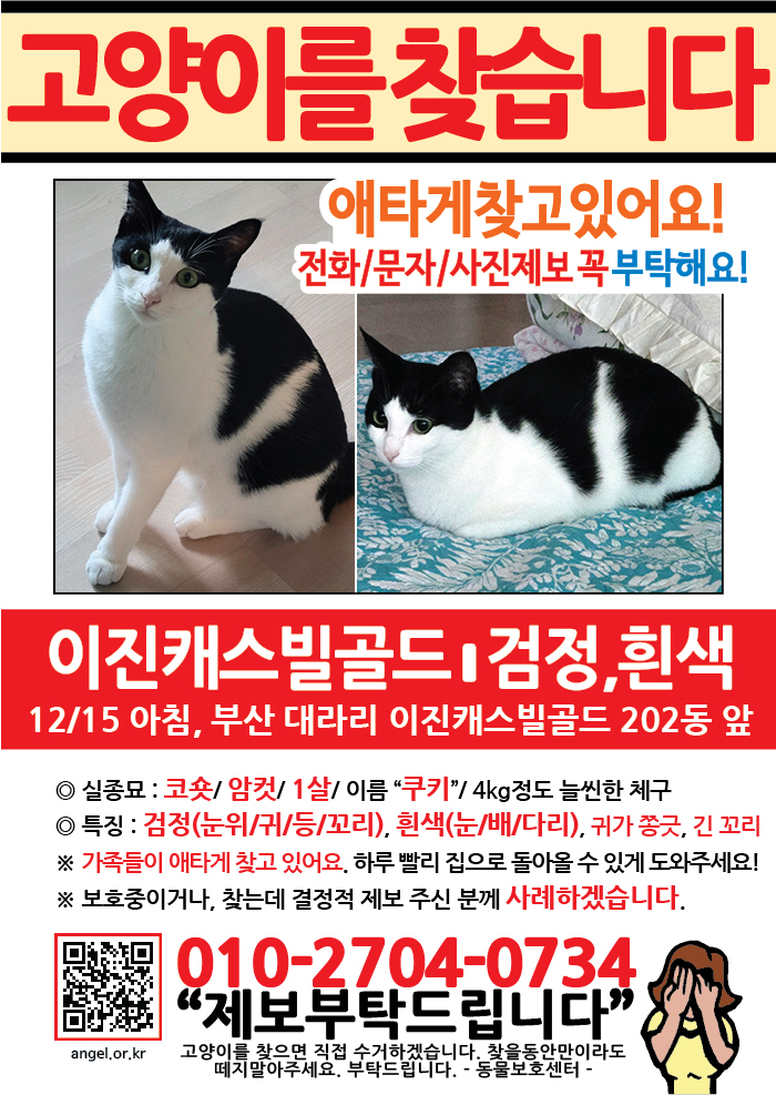 강아지 고양이 전단지