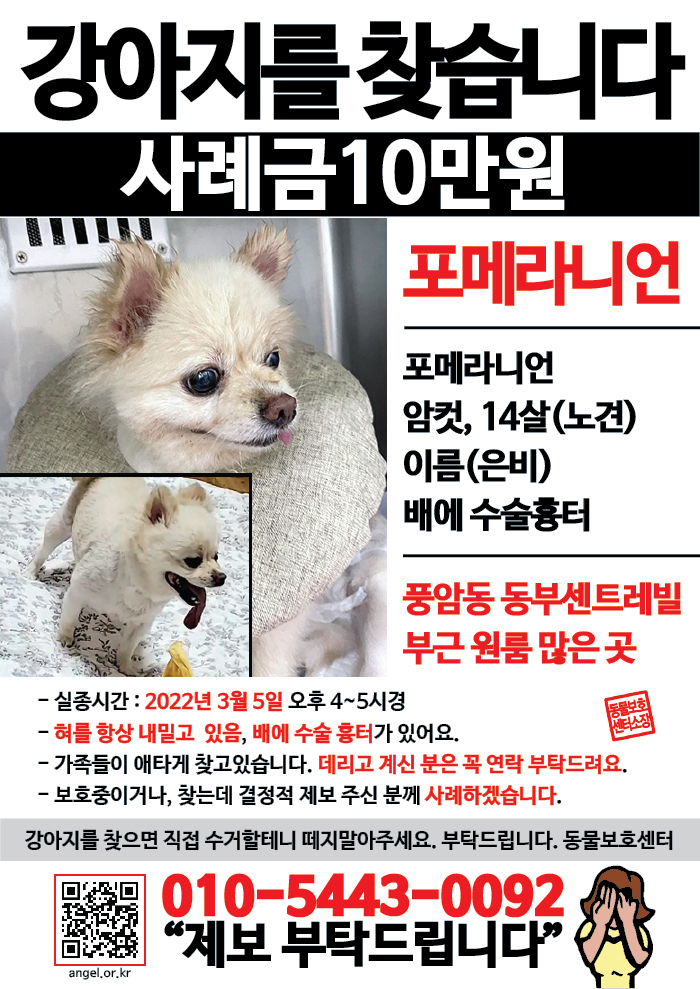 강아지 고양이 전단지