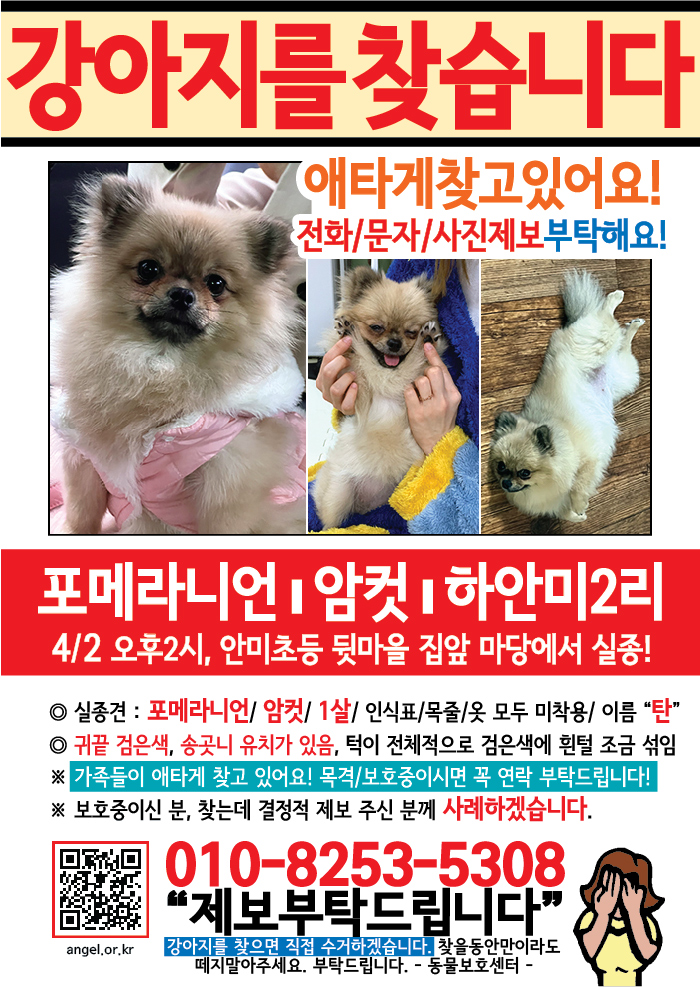 강아지 고양이 전단지