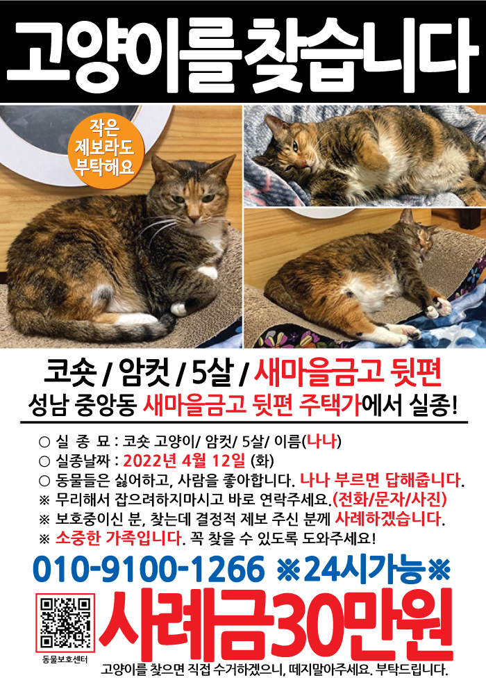 강아지 고양이 전단지