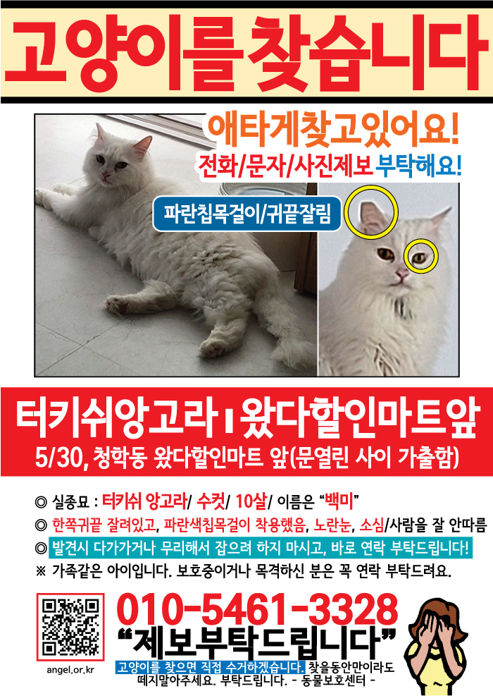 강아지 고양이 전단지