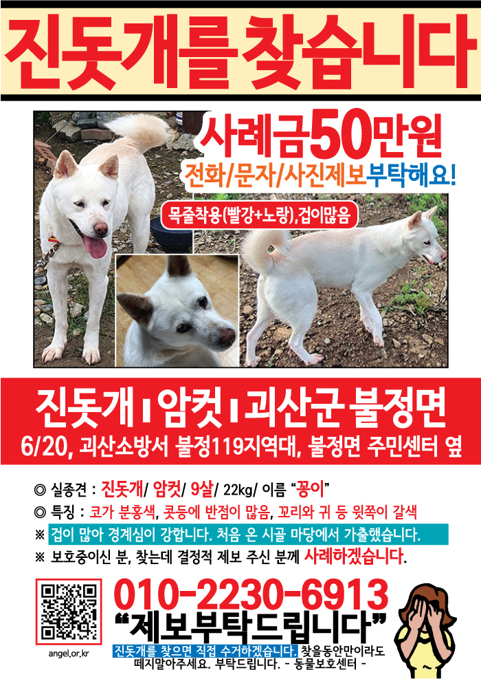 강아지 고양이 전단지