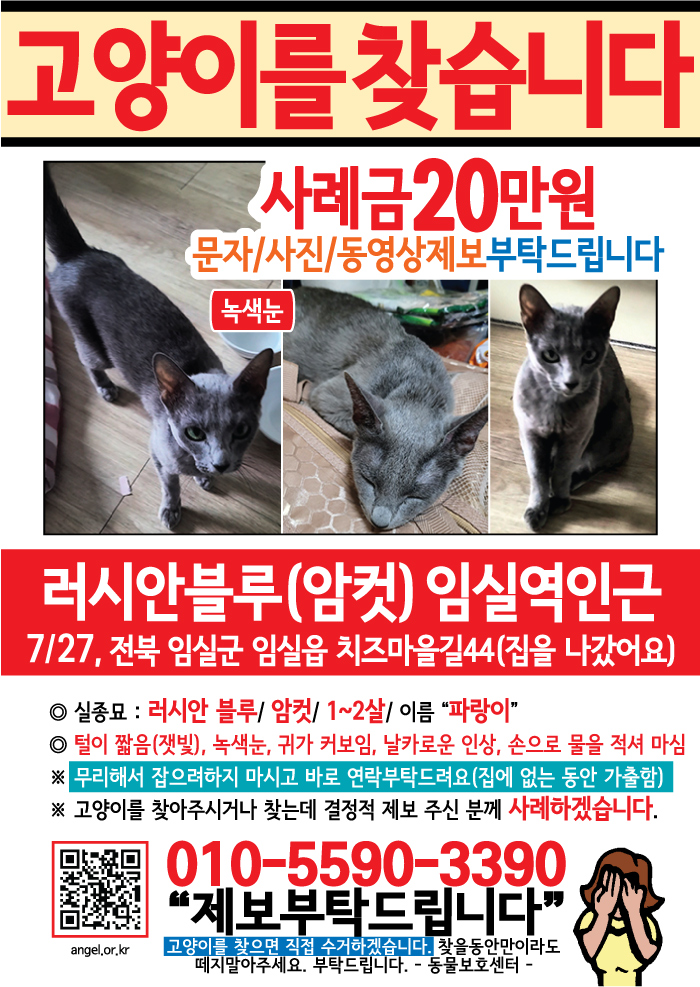 강아지 고양이 전단지