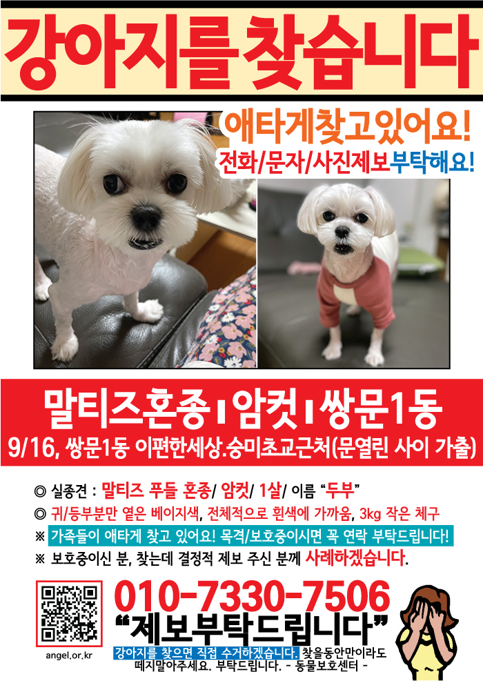 강아지 고양이 전단지